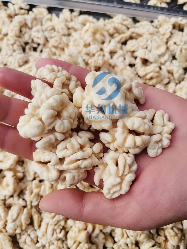 核桃仁去皮機 核桃仁脫皮流水線 上門安裝核桃深加工設備